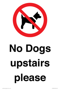 No Dogs upstairs please 